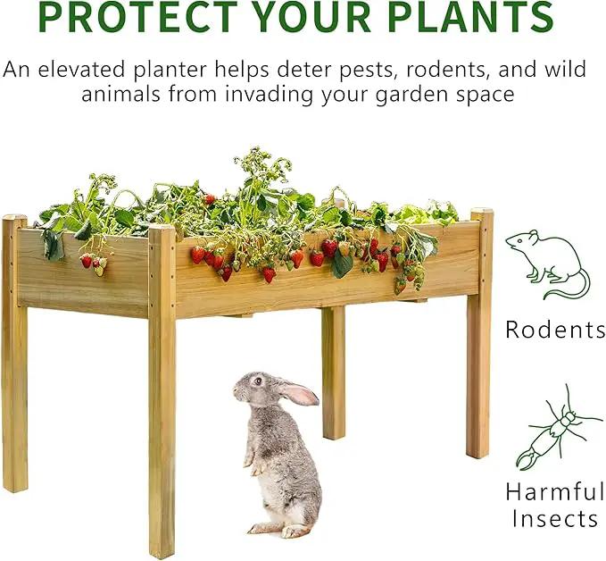 Premium Fir Wooden Raised Garden Bed with Four Legs for Backyard and Balcony Gardening,Suitable for Indoor and Outdoor use,49.5''×23.5''×30'' by GreenHaven Gardens