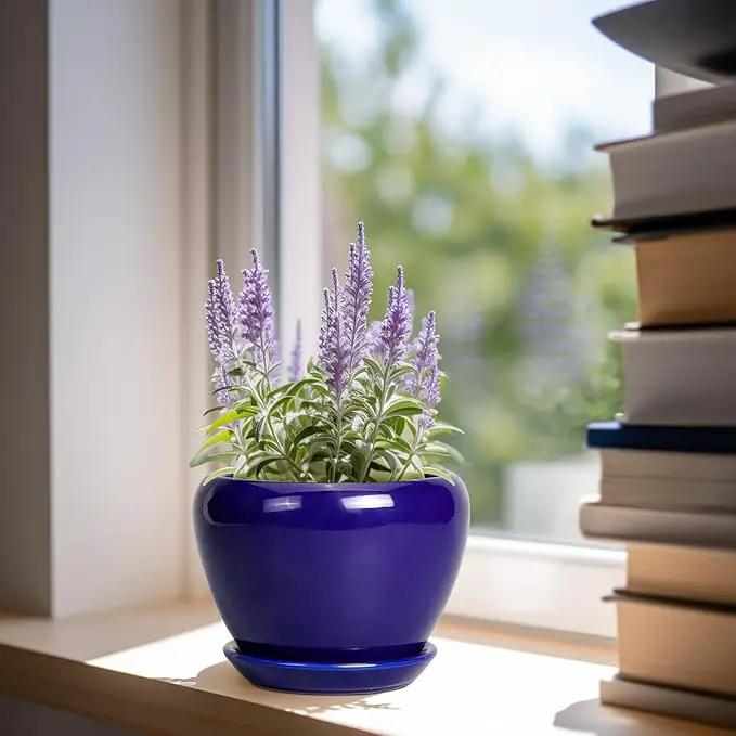 6 Inch Plant Pot - Ceramic Pots for Plants Succulent Pot with Drainage Hole and Saucer Round Planter Outdoor Flower Pot for Herb Snake Plants Blue by GreenHaven Gardens
