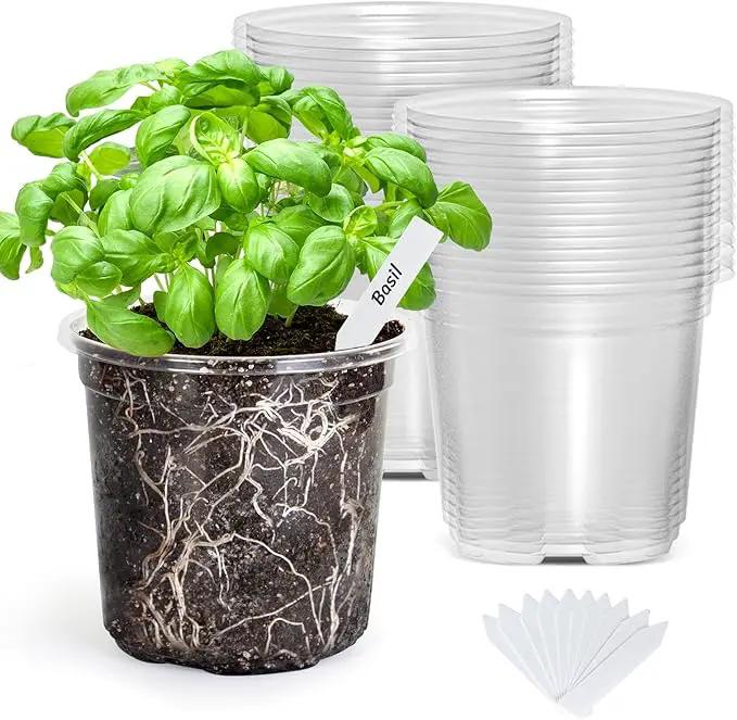 Bonviee Nursery Pots for Plants, 30-Pack 5-Inch Plastic Seedling Pots with Drainage Holes, and 10 Plant Labels, Ideal for Seed Starters and Flowers -Clear by GreenHaven Gardens