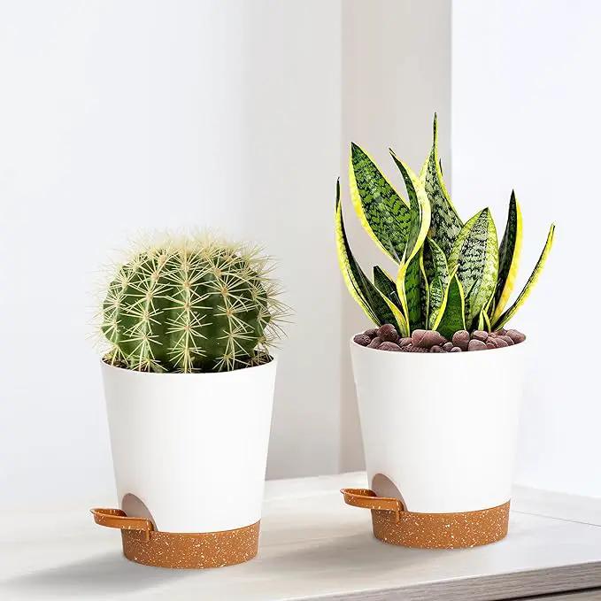 4 inch Small Plant Pots for Outdoor Indoor Plants, 10 Pack Planters with Drainage Holes and Tray, Small Self Watering Pots for Succulent,Cactus, Aloe and Other Plants. (White) by GreenHaven Gardens