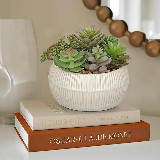 DILATATA Artificial Succulent Plants in Pot 5.5 Inch Fake Succulents Arrangement Potted Plant in White Ceramic Planter Bowl for Home Office Desk Shelf Living Room Bedroom Bathroom Decor by GreenHaven Gardens