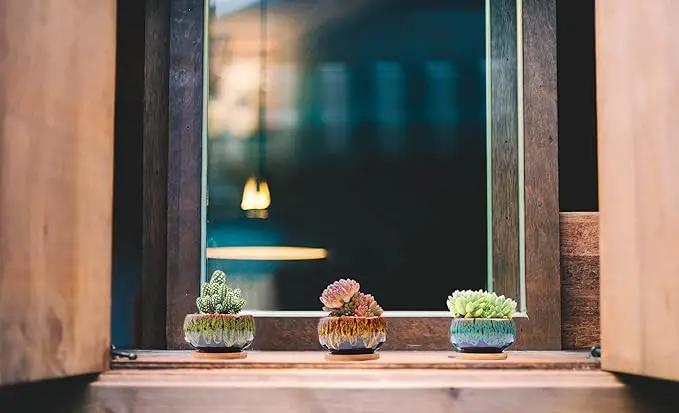 Cute Ceramic Succulent Garden Pots, Planter with Drainage and Attached Saucer, Set of 5 -Plants Not Included (Round) by GreenHaven Gardens