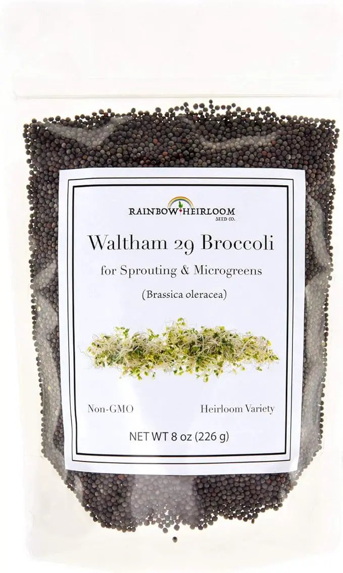 Broccoli Seeds for Sprouting & Microgreens | Waltham 29 Variety | Non GMO & Heirloom Seeds | 8 oz Resealable Bag | Rainbow Heirloom Seed Co. by GreenHaven Gardens