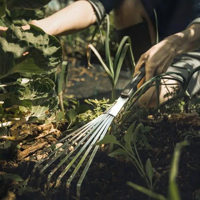 Fiskars Xact Hand Rake, Heavy Duty Gardening Hand Tool with Ergonomic Handle and Hanging Hole for Storage, Stainless Steel Head and Tines, Perfect for Maintaining a Raised Garden Bed by GreenHaven Gardens