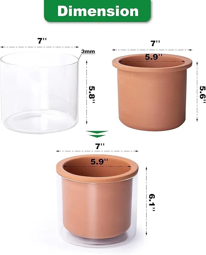 Phoenix Vine 6 Inch Self Watering Plants Pot, Design Terracotta Pot for Plants, Indoor Cylinder Terra Cotta Planter with Glass Vase, Set of 1, 51-A-F-1 by GreenHaven Gardens