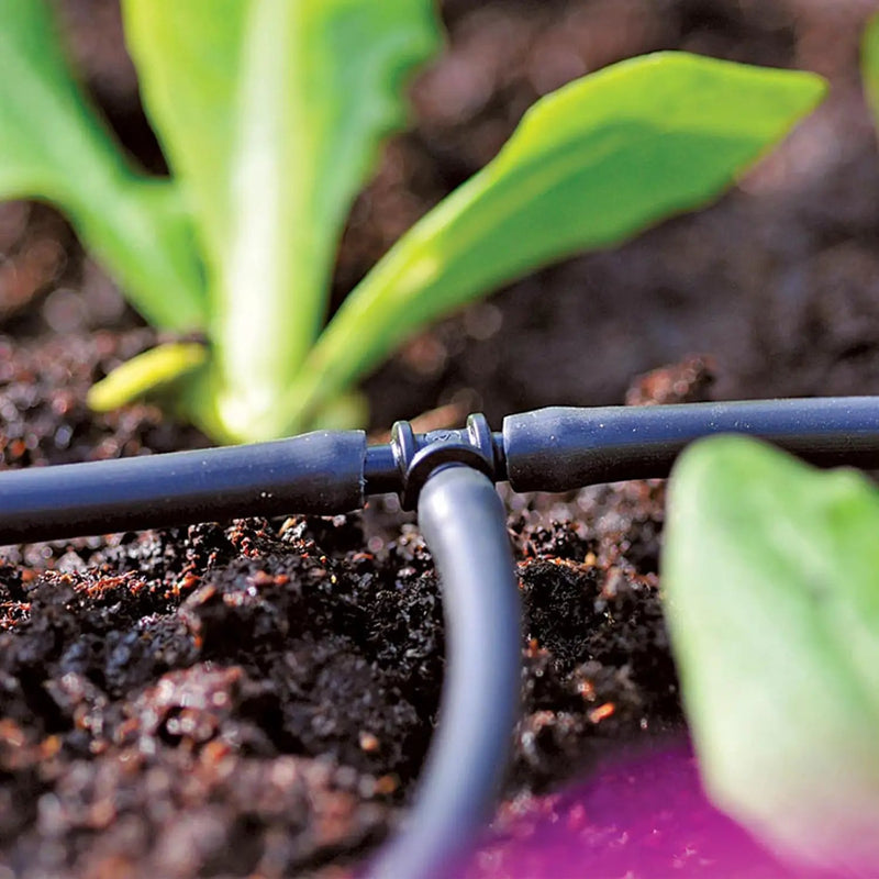 1/4 inch Drip Irrigation Tubing, 16FT Blank Distribution Tubing Drip Irrigation Hose, Garden Watering Drip Line for DIY Drip Irrigation System by GreenHaven Gardens