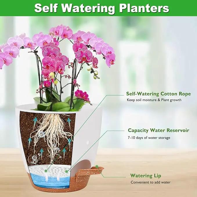 6 Inch Orchid Pots with Holes, 2 Pack Self Watering Planters for Orchids Plastic Orchid Pot Plant Flower Pots for Orchids Indoor Outdoor (White with Brown) by GreenHaven Gardens