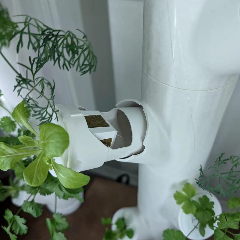 Grow Cubes for Hydroponic System/Compatible with Gardyn (20 Grow Cubes) by GreenHaven Gardens