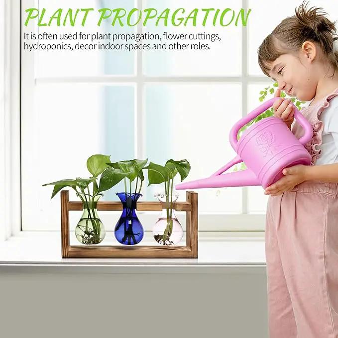 Plant Propagation Station Plant Terrarium Unique Birthday Gifts for Women Plant Lovers Home Office Decor Planter with Wooden Stand - 3 Bulb Glass Vase by GreenHaven Gardens