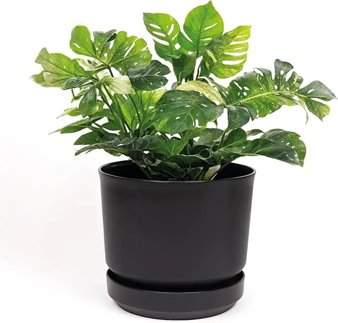 Elly Décor 10 inch Plastic Cylinder Planter Pot with Self-Watering Saucer and Drainage Hole,Lightweight & Extremely Durable, 10"x 10", Black by GreenHaven Gardens
