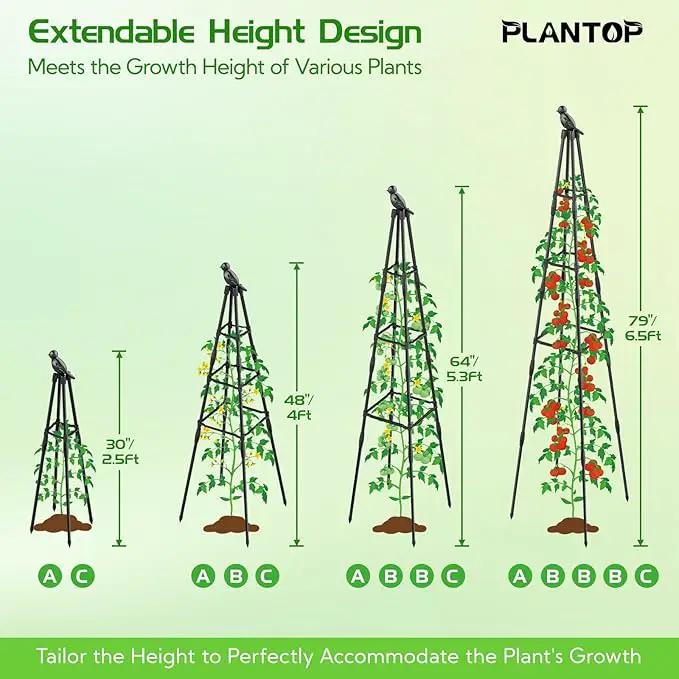 2 Pack Garden Trellis for Climbing Plants Outdoor, 79"/6.6ft Tall Rustproof Tomato Trellis, PE Coated Metal Plant Trellis Indoor, Tower Trellis for Potted Plants Flowers Vines Vegetables by GreenHaven Gardens
