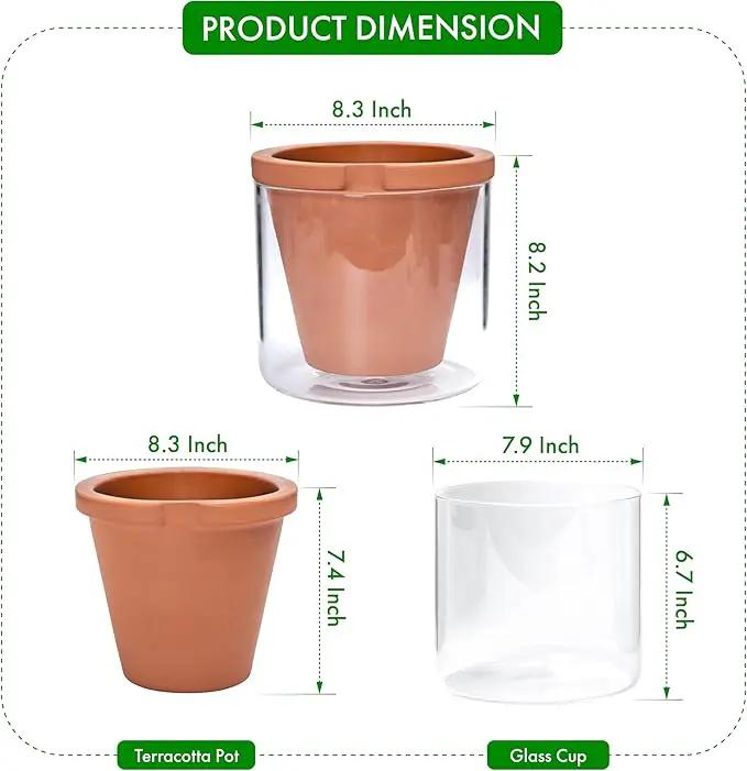 D'vine Dev 8 Inch Design Self Watering Pot for Indoor Plants, Terracotta Planter with Cylinder Glass Cup, 37-X-C-1 by GreenHaven Gardens