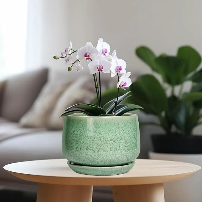 G EPGardening Ceramic Plant Pot - 7 Inch Ceramic Planter for Indoor Outdoor Plants, Flower Pot with Drainage Hole and Tray, Modern Round Planter, Plants Lovers Gifts, Home Garden Decor, Green by GreenHaven Gardens