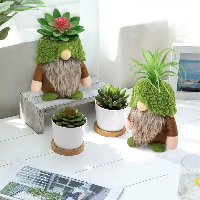 Upltowtme Succulent Gnomes Spring Green Plants Gnomes Swedish Plush Tiered Tray Decoration Tomte Doll Decor Cacti Nordic Dwarf Home Stuffed Gnomes Collection Garden Gift for Her Him Plant Lover by GreenHaven Gardens