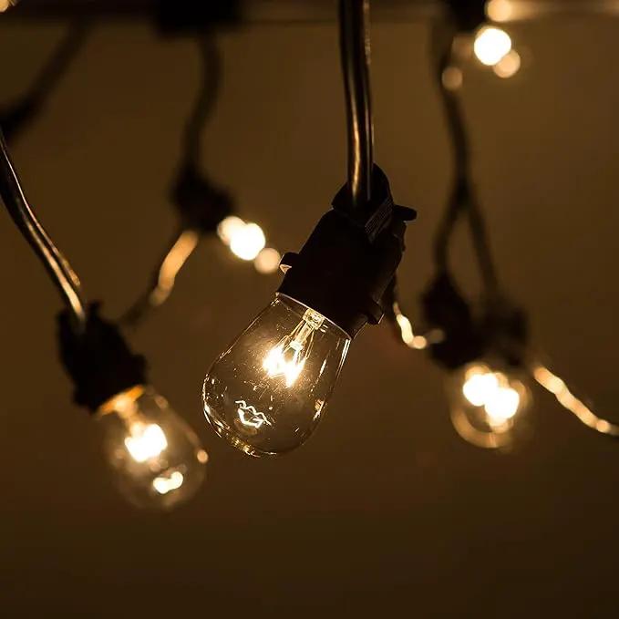 Hometown Evolution, Inc. Commercial E26 String Lights with 16 Gauge Wire (50 Foot 25 Socket, S14 11 Watt Clear Bulb) by GreenHaven Gardens