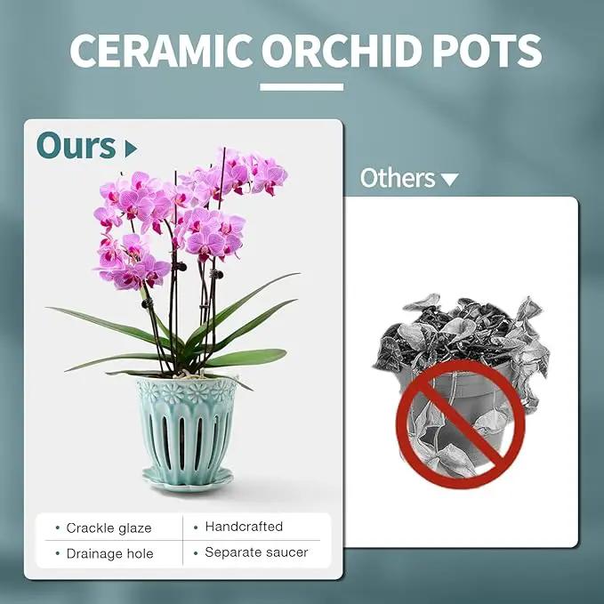 5" Ceramic Orchid Pot with Holes | Crackle Glazed Pot with Drainage and Separate Saucer | Ideal Plant Pot for Repotting Orchids and Other Flowers (Blue) by GreenHaven Gardens