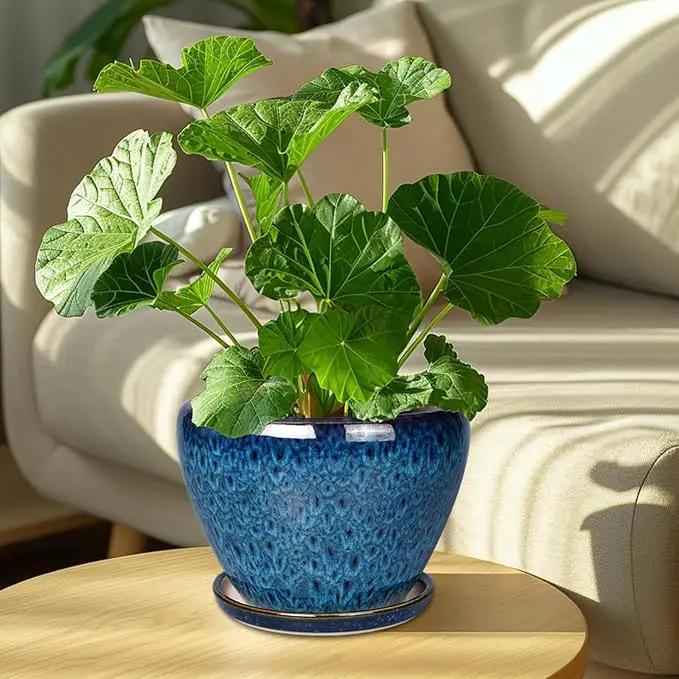 8 Inch Ceramic Plant Pot, Ceramic Planter Pot for Indoor Outdoor Plants, Round Flower Pot with Drainage Hole and Saucer, Blue by GreenHaven Gardens