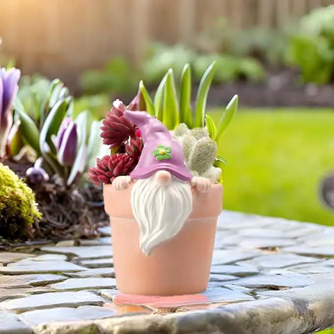 Newman House Studio Spring-Gnomes Flower-Pots Easter Decorations Cactus-Succulents - Easter Decorative Purple Planter Pots Unique Garden Pots with Drainage Hole for Indoor Outdoor 3 x 3.5 x 5 inch by GreenHaven Gardens