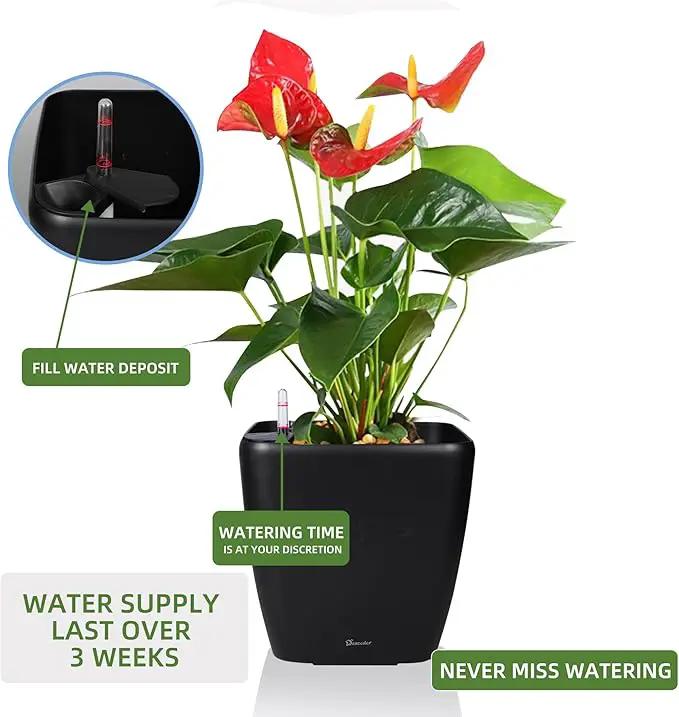 Dexceder 15x14 Self Watering Planter with Wheels Indoor Outdoor, Inner Mat Design, Thickened Large Floor Standing Flower Plant Pot with Water Level Indicator (Black Matte) by GreenHaven Gardens