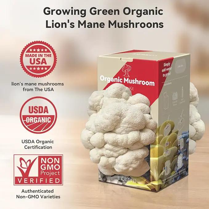inbloom Large Organic Lion's Mane Mushroom Growing Kit (4 lbs) – Double-Side Growth, Edible Non-GMO Mushroom Kit, Beginner-Friendly, Harvest Mushrooms at Home, Indoor Gardening Gift for Adults by GreenHaven Gardens