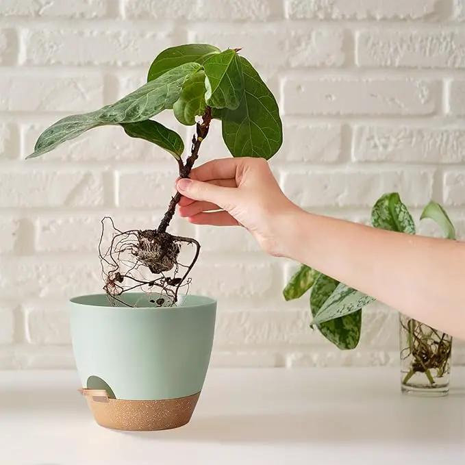 Indoor Plant Pots With Drainage Holes and Saucers Planting Pots for All HousePlants Green Plastic Flower Pots with Drainage Hole Self Watering Plant Pot Gift Idea For Home Decor Succulent Pots by GreenHaven Gardens