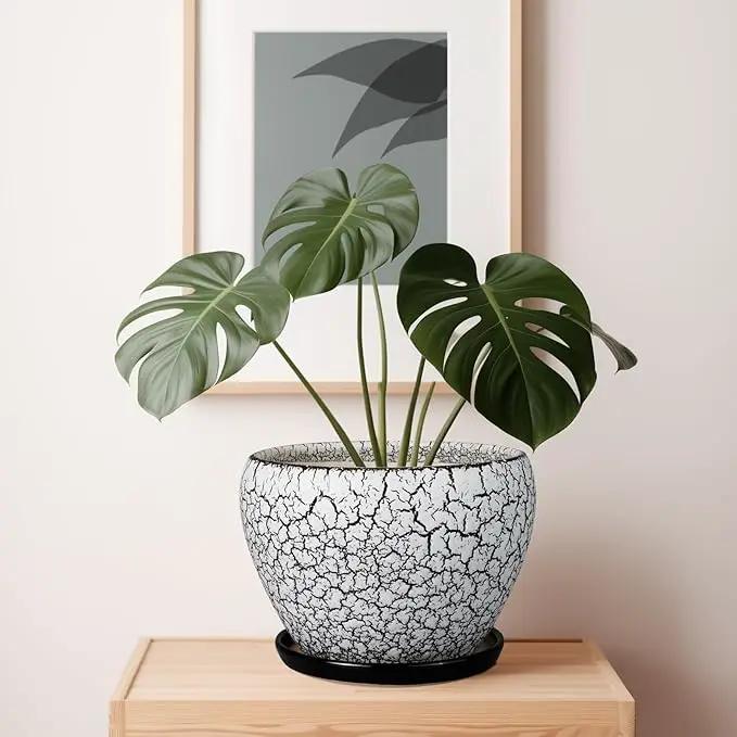 Ceramic Planters for Indoor Plants - 10 Inch Plant Pot with Drainage Hole and Saucer, Large Flower Pot for Home Decor, White/Black by GreenHaven Gardens