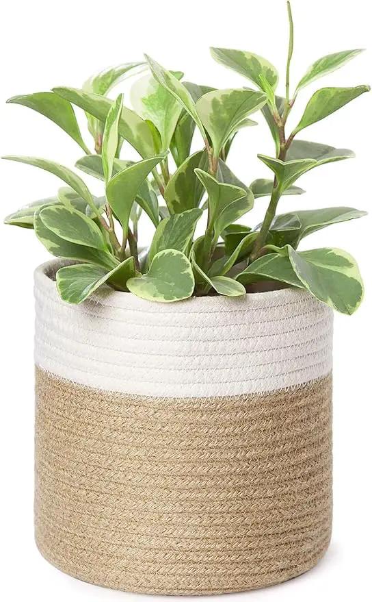 Dahey Small Cotton Rope Plant Basket Woven Plant Coiled Basket for Up to 7" Planter, Decorative Flower Pot Cover Closet Storage Bin Table Desk Organizer for Home Decor, White and Beige by GreenHaven Gardens