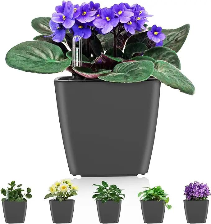 Self Watering Planters for Indoor Plants : 5 inch 6 Pack Grey Planter with Water Level Indicator African Violet Self Watering Flower Pot for Herb Pot House Plant Planting by GreenHaven Gardens