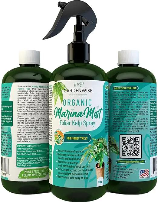 Organic Marina Mist Foliar Spray for Money Tree | Liquid Fertilizer | Micro Nutrients for Vital Health | Liquid Plant Food (16 OZ) by GreenHaven Gardens