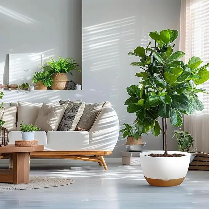 8/10/12 Inch Pots for Indoor Plants, Large Self Watering Planters with Drainage and Saucers, Plastic Outdoor Flower Pot, Set of 3, White by GreenHaven Gardens