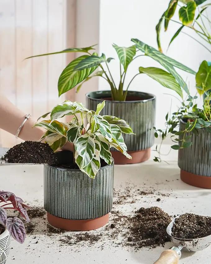 LE TAUCI Ceramic Plant Pots with Drainage Holes, Set of 3, 8+6.7+5.5 Inch Stripe Garden Planter Pots for Outdoor Indoor Plants Flower, Round Succulent Orchid Flower Pot, Reactive Glaze Black by GreenHaven Gardens