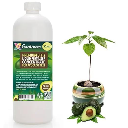 Premium Liquid Avocado Plant Fertilizer - 3-1-2 Concentrate for Indoor Plants and Flowers by Gardenera | Organic Plant Food for Avocado Trees - 32oz by GreenHaven Gardens