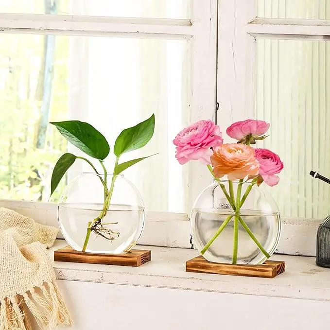 2 Pack Plant Propagation Station with Wooden Base Glass Terrariums for Indoor Plants Decorative Round Vases for Flowers Hydroponic Planter for Home Office Decor by GreenHaven Gardens