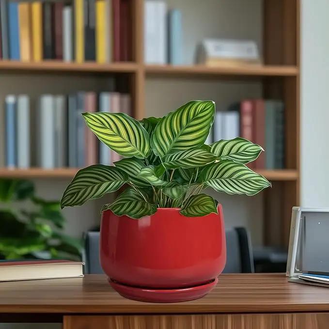 G EPGardening Ceramic Planter 7 Inch - Flower Pots for Indoor Plants, Round Planter with Drainage and Ceramic Tray, Modern Plant Pot, Bathroom Decor, Teacher Gifts, Red by GreenHaven Gardens