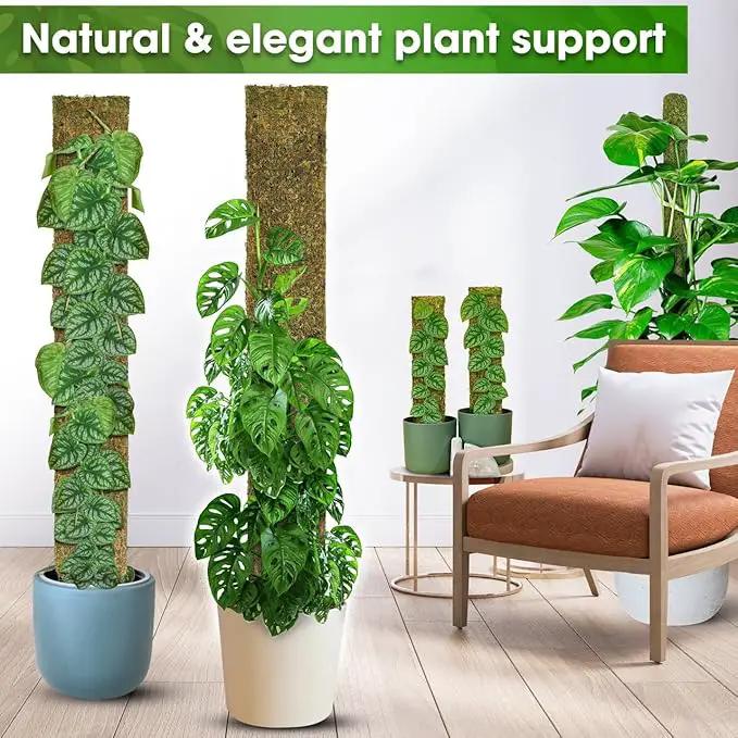 DUSPRO 59’’ Flat Mesh Moss Poles for Climbing Plants Monstera Flat Stacks for Tall Plant with Real Moss Moss Pole for Indoor Plants Plant Stick Support Tall Indoor Plants Support Stakes (1pc., 59'') by GreenHaven Gardens