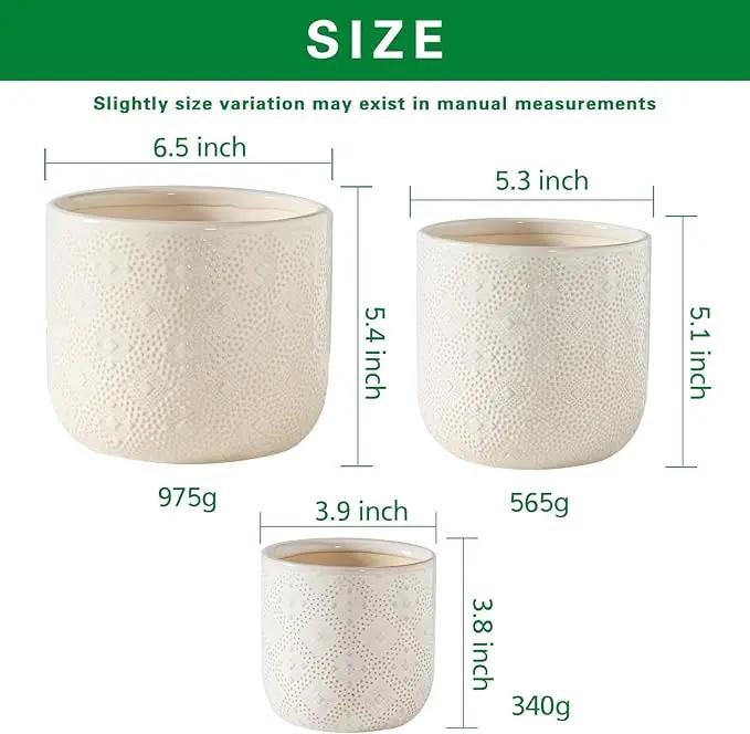 Docrin Ceramic Plant Pots Indoor：6.5+5.3+4 Inch Planters with Drainage Holes for Home/Office - Set of 3 / White by GreenHaven Gardens