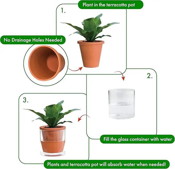 D'vine Dev 4 Inch Design Self Watering Pot for Indoor Plants, Terracotta Planter with Cylinder Glass Cup, Set of 2, 37-X-A-2 by GreenHaven Gardens