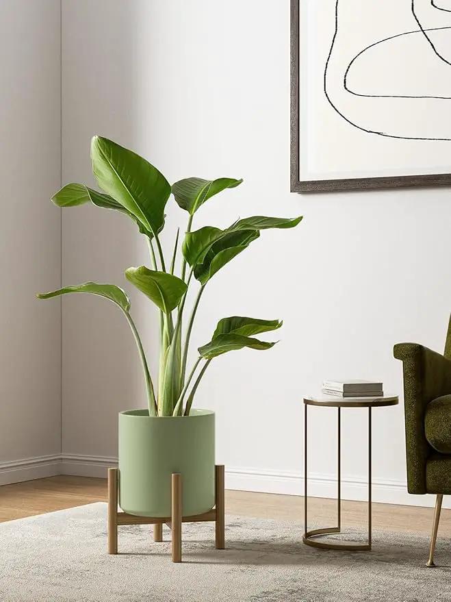 LE TAUCI Large Plant Pots Set, 10/8/6 Inch Ceramic Planters for Indoor Plants, Mid-Century Modern Flower Planter Pots with Drainage Hole and Plug, Round Planter, Set of 3, Reactive Glaze Olive Green by GreenHaven Gardens