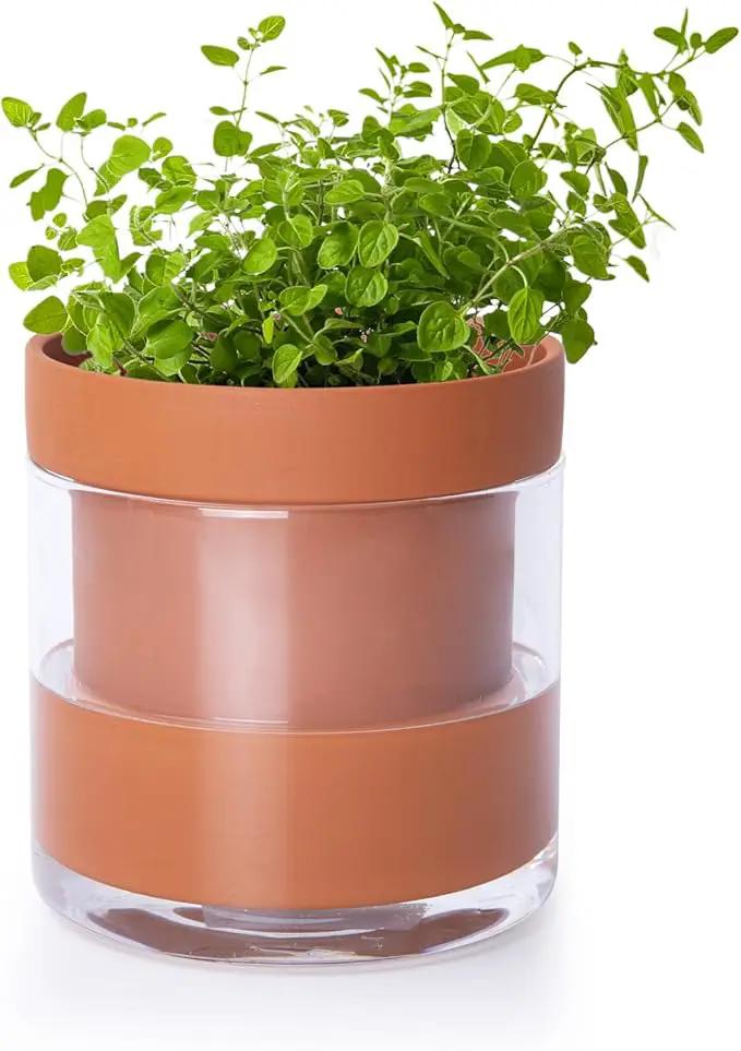 Phoenix Vine 4 Inch Self Watering Planter Pot, Terracotta Clay Pot with Glass Reservoir for Indoor Plants, Herbs, Flowers, Set of 1, 52-A-E-1 by GreenHaven Gardens