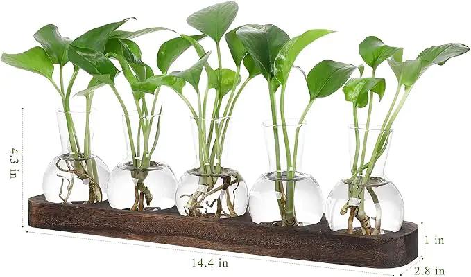 YIBOT Plant Propagation Stations,Glass Propagation Vases for Plants Terrarium with Wooden Tray Plant Lover Gifts for Propagating Hydroponic Plants Home Office Decor(5 Vase) by GreenHaven Gardens