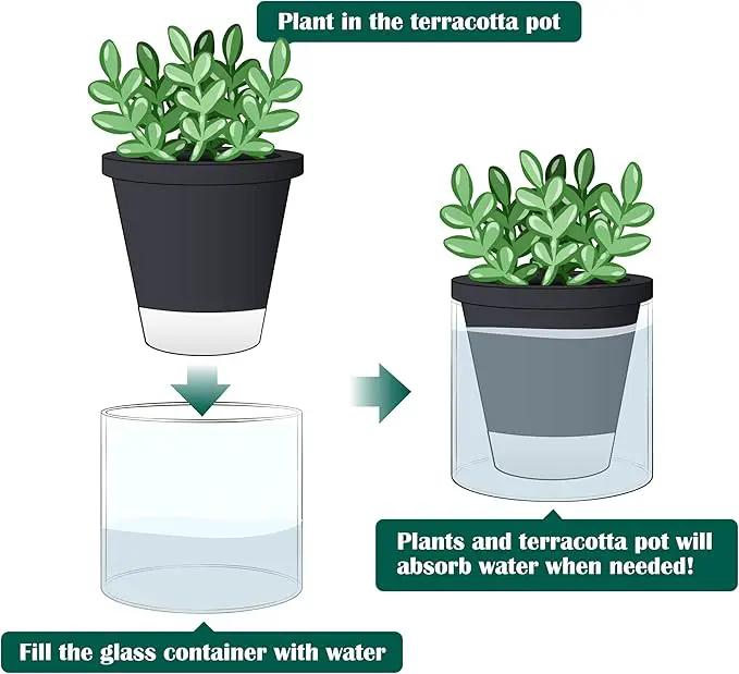 D'vine Dev 4 Inch Design Self Watering Planter for Indoor Plants, Black Terracotta Pot with Cylinder Glass Cup, Set of 4, 37-Z-A-3-F by GreenHaven Gardens