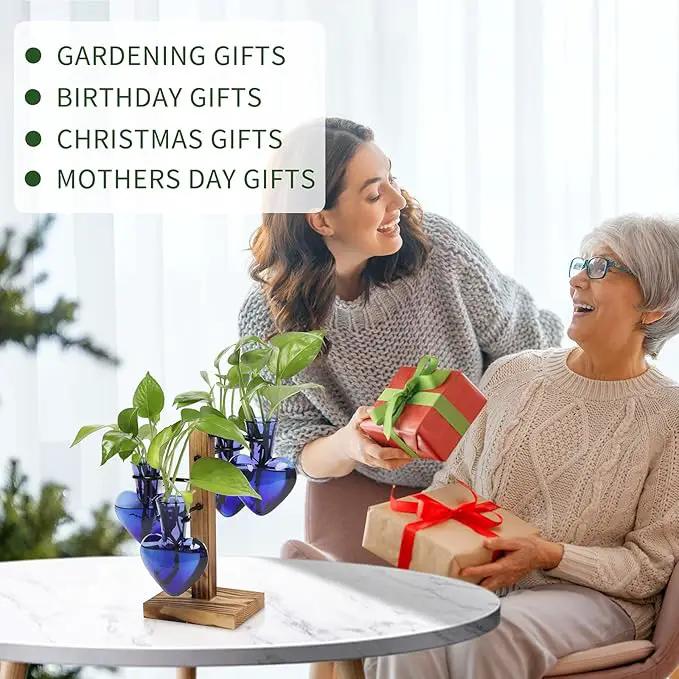Plants Propagation Stations Plant Terrarium Kit Glass Planters for Indoor Plants House Plant Accessories Gift for Women - 4 Love Bulb Vase by GreenHaven Gardens