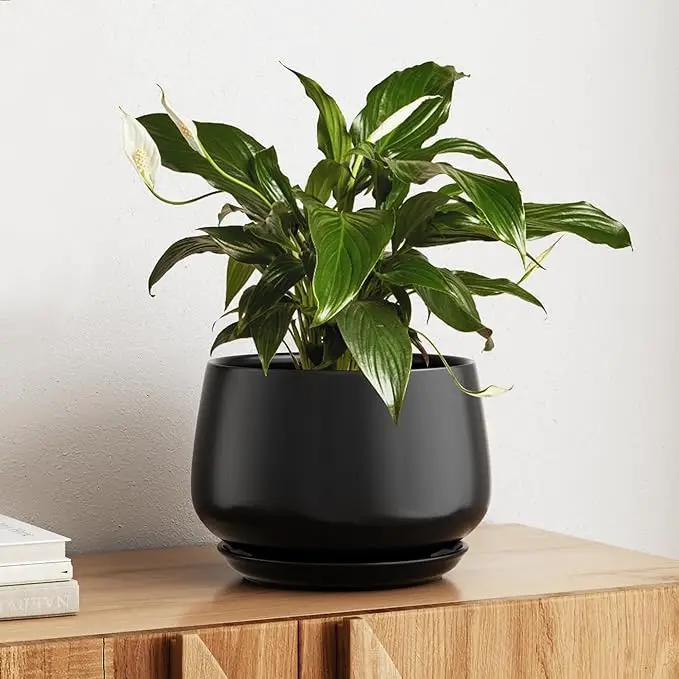 LE TAUCI Ceramic Planter, 10 Inch Plant Pot with Drainage Hole & Saucer – Durable Indoor Planter for Modern Home Decor, Black by GreenHaven Gardens