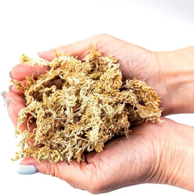 Premium Grade Sphagnum Moss by Gardenera - 20 Quart - Organic Hand Mixed New Zealand Long Fibered Sphagnum Moss Orchid - 4 Bags of 5 Quart by GreenHaven Gardens