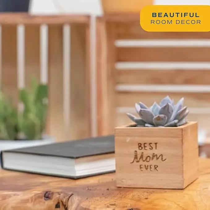 Costa Farms Echeveria, Mini Succulent Plant in Best Mom Ever Wood Decor Planter, Live Indoor Houseplant in Cute Cactus Decor, Great Mother's Day Gift by GreenHaven Gardens