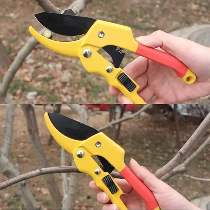 Garden clippers, premium Germany pruners, Work 3 times easier, professional pruning shears, cutting rose, flower, hedge, stem, tree, Sharp gardening scissors, Arthritis weak hand snips (Japanese, 1) by GreenHaven Gardens