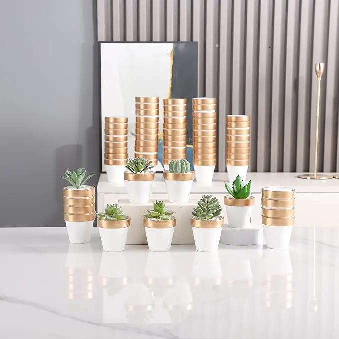 Yishang 72 pcs Small Mini White&Gold Clay Pots, 2.5'' Terracotta Pot Clay Ceramic Pottery Planter,Cactus Flower Terra Cotta Pots,Succulents Nursery Pots,with Drainage Hole,for Crafts,Wedding Favor by GreenHaven Gardens