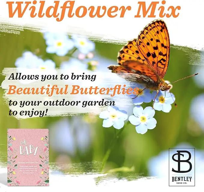 BENTLEY SEED CO. Oh Baby Flower Seeds Packets - Girl/Boy Baby Shower Favors - Pre-Filled, 25 Wildflower Seed Packs for Favor - Eco-Friendly Gift & Babys Guest Giveaways - Non-GMO Seeds - Pink Envelop by GreenHaven Gardens