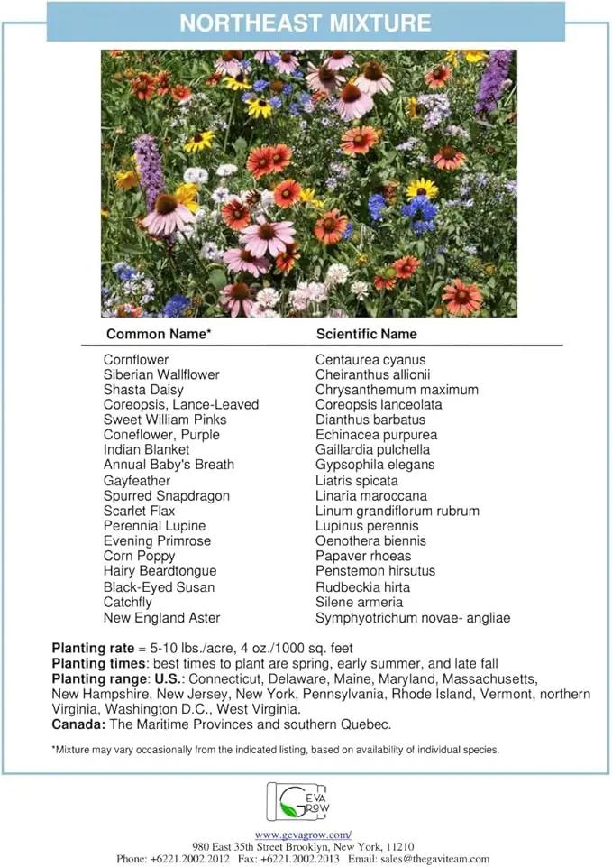 Regional Wildflower - Northeast USA Wildflowers - 100% Pure Seed - Organic, Non-GMO - 21 Wildflower Variety Seeds of Annual & Perennial, 1 LB Tub by GreenHaven Gardens