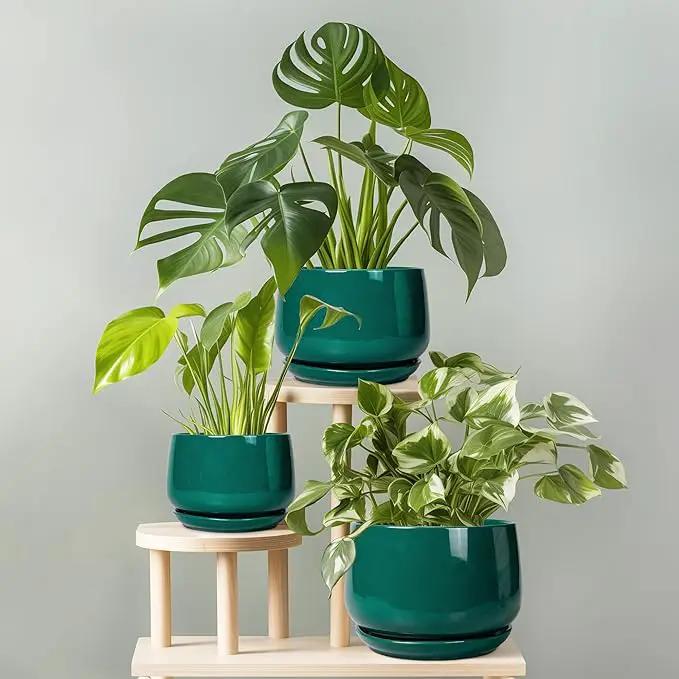G EPGardening Ceramic Planter for Indoor Plants - 7 Inch Plant Pot, Round Planter with Drainage and Saucer, Round Flower Pots for Outdoor, Modern Desk Decor, Gift for Women Men, Green by GreenHaven Gardens